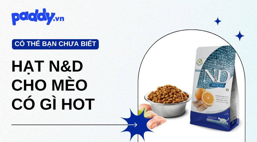 Hạt N&D Có Gì Mà Cháy Hàng Liên Tục