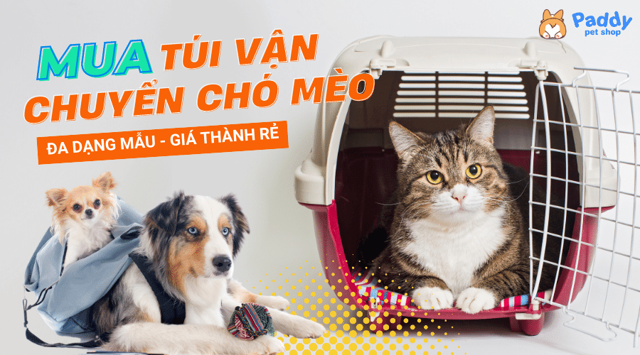 Mua đồ dùng vận chuyển chó mèo đa dạng mẫu, giá tốt