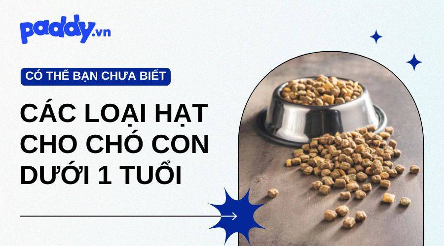 Review Các Loại Hạt Cho Chó Con Dưới 1 Tuổi