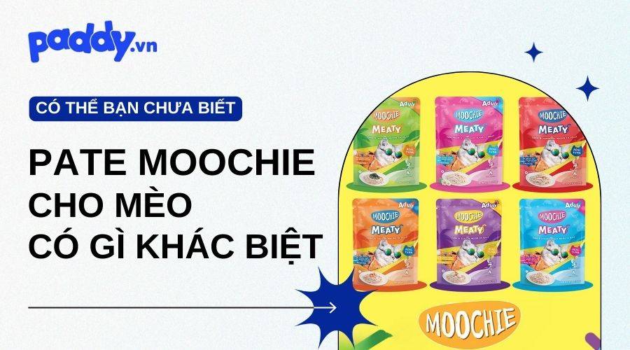 Khám Phá Sự Khác Biệt Với Pate Moochie Cho Mèo Cưng Của Bạn
