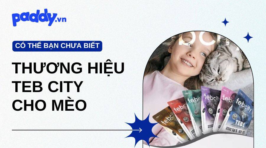 Hạt Teb City Cho Mèo Và Những Điều Làm Nên Thương Hiệu