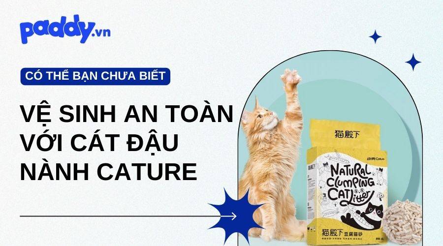 Cát Đậu Nành Cature: Giải Pháp Vệ Sinh Dành Cho Thú Cưng
