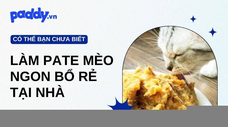 Cách Làm Pate Cho Mèo Ngon Bổ Rẻ Tại Nhà