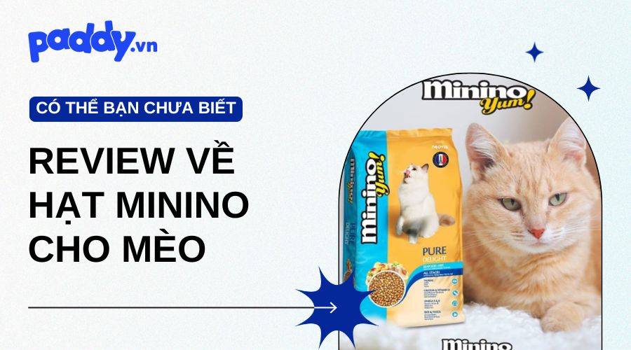 Review Tất Tần Tật Hạt Minino Cho Mèo