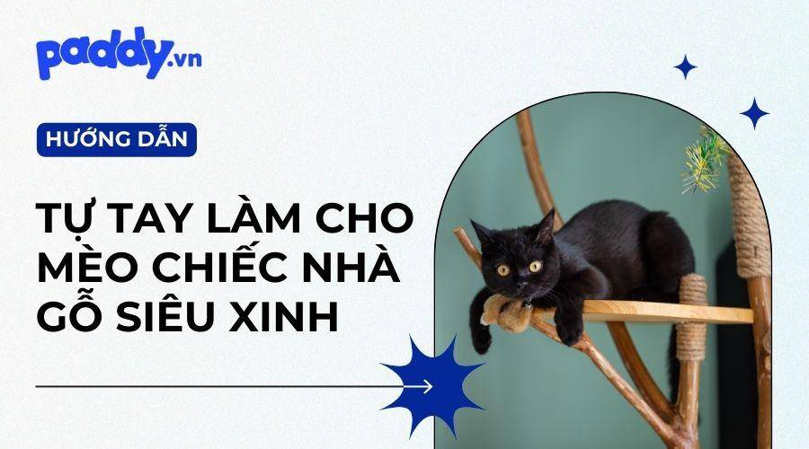 Cách Làm Nhà Gỗ Cho Mèo Đơn Giản