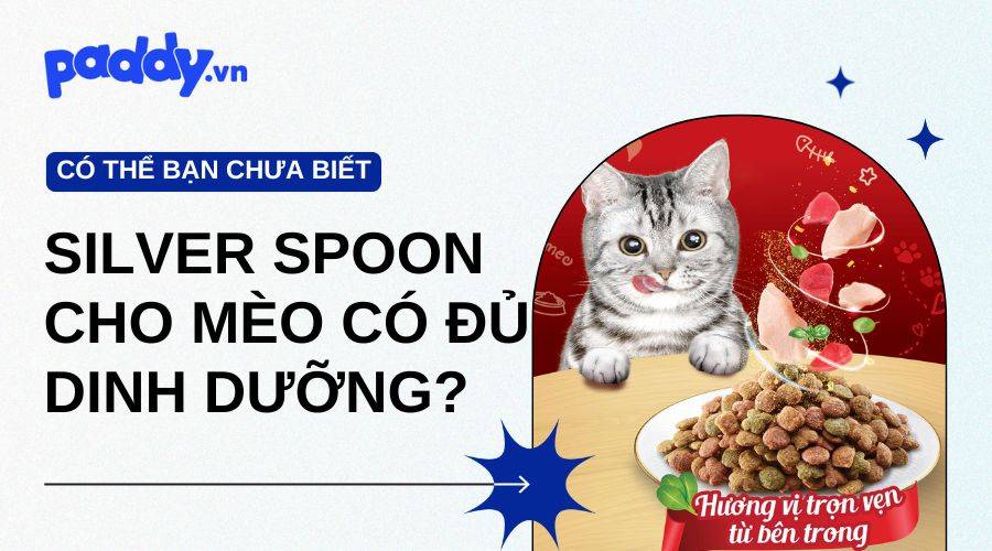 Phân Tích Giá Trị Dinh Dưỡng Của Hạt Cho Mèo Silver Spoon