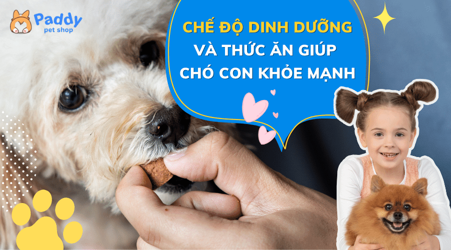 Chế độ dinh dưỡng và thức ăn cho chó con giúp pet khỏe mạnh
