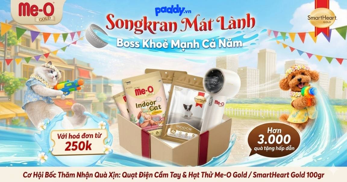 THÁNG 4 MÁT LẠNH – THAM GIA LỄ HỘI SONGKRAN - SĂN QUÀ "NGẬP RĂNG" CHO BOSS