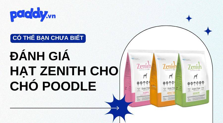 Đánh Giá Hạt Zenith Cho Chó Poodle