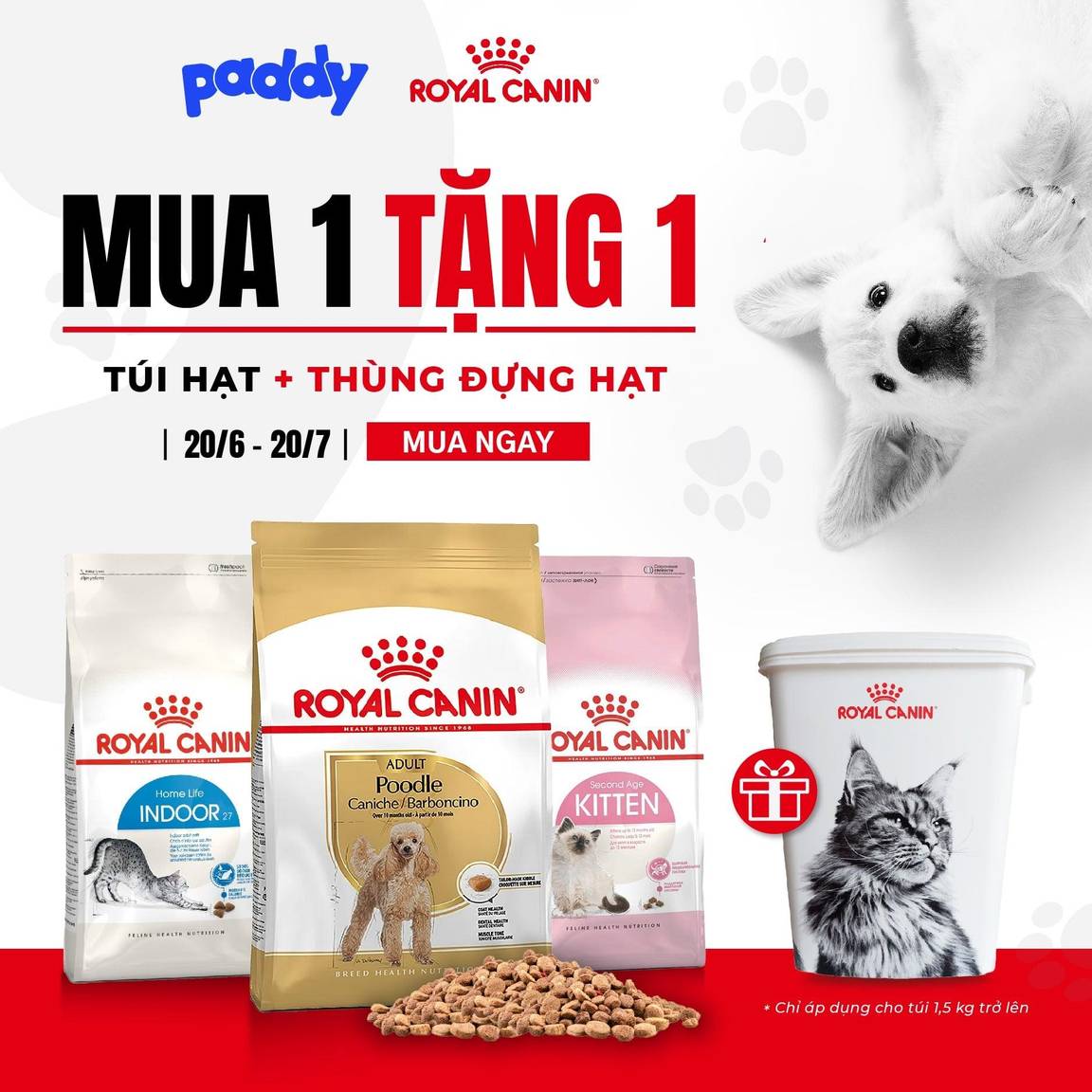 ĐỘC QUYỀN ROYAL CANIN MUA 1 TẶNG 1