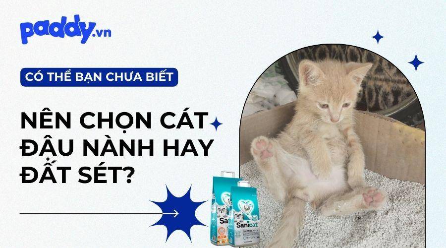 Cát đậu nành và cát đất sét cát nào tốt hơn?
