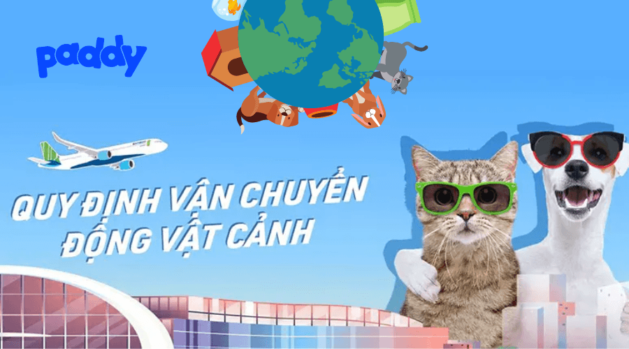 Quy Trình Vận Chuyển Chó Mèo Bằng Đường Hàng Không (2022)