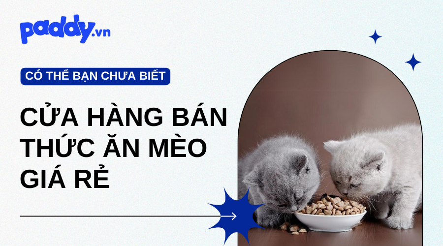 Cửa Hàng Bán Thức Ăn Cho Mèo Gần Đây Giá Rẻ