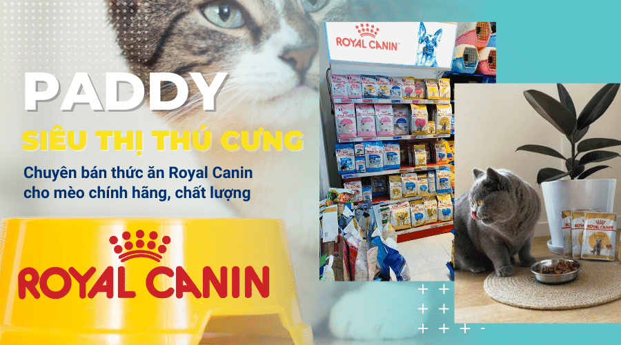 Thức ăn Royal Canin cho mèo nào được mua nhiều nhất hiện nay