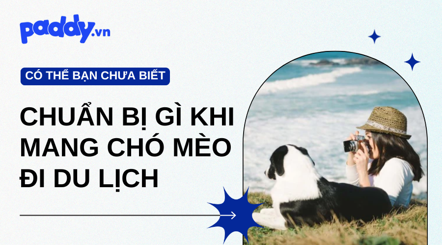 Nên Chuẩn Bị Gì Khi Mang Chó Mèo Du Lịch