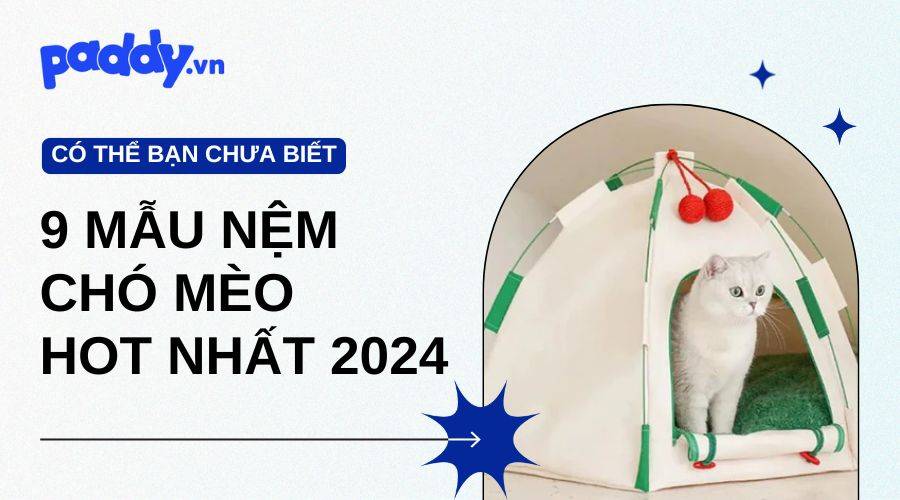 9 Mẫu Nệm Chó Mèo Đẹp Hot Nhất Năm 2024