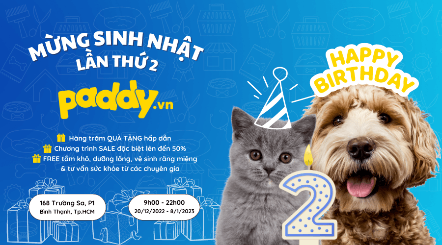 Chuỗi Sự Kiện Mừng Sinh Nhật Paddy Lần 2