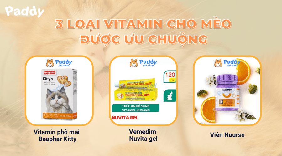 Tổng hợp các sản phẩm vitamin cho mèo phổ biến nhất