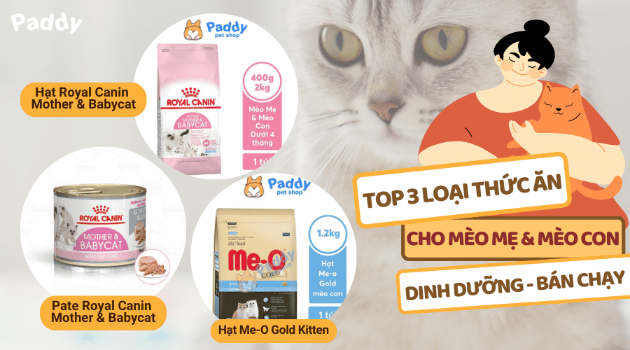 Nên dùng thức ăn cho mèo bầu, mèo mẹ và mèo con loại nào tốt?