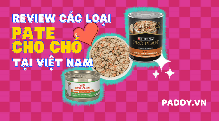 Review Những Thương Hiệu Pate Cho Chó Tại Việt Nam