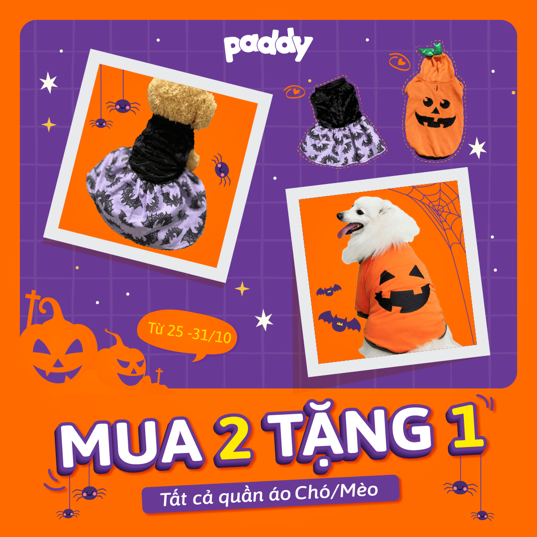 [Happy Halloween] - Mua 2 Tặng 1 Tất Cả Quần Áo Cho Chó/Mèo