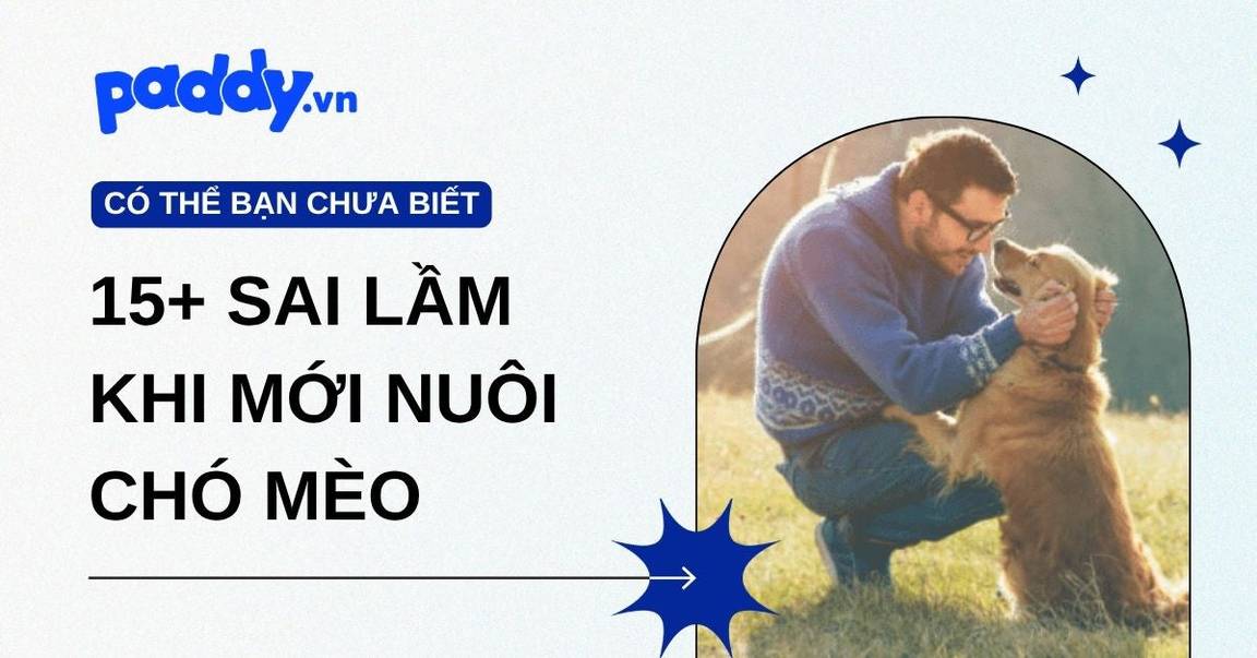 15+ sai lầm thường gặp khi mới nuôi chó mèo