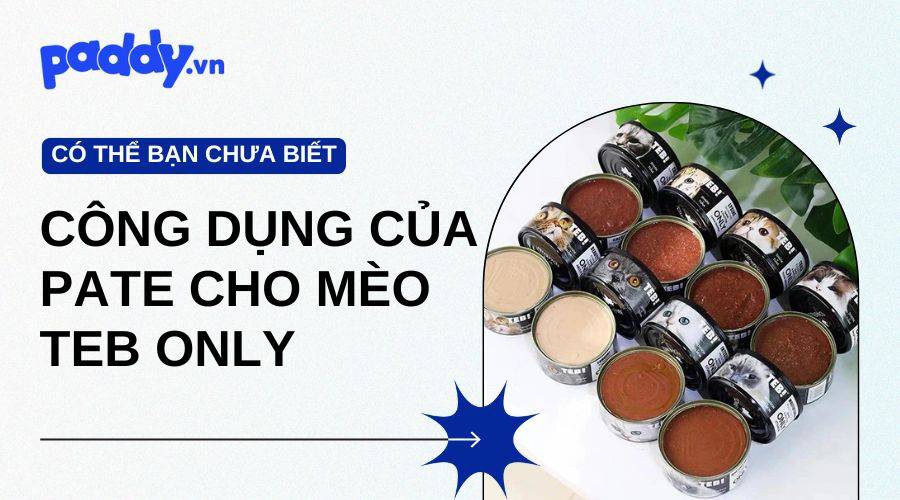 Công Dụng Của Các Dòng Pate Thưởng Cho Mèo Teb Only