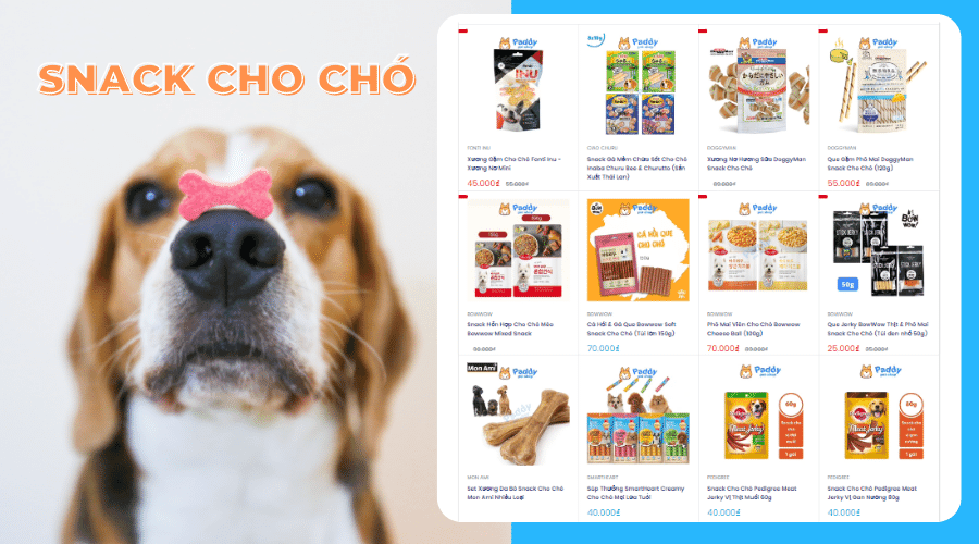 Snack cho chó là gì? Cách huấn luyện chó bằng Snack