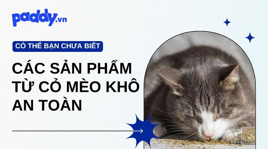 Tổng Hợp Các Sản Phẩm Từ Cỏ Mèo Khô An Toàn