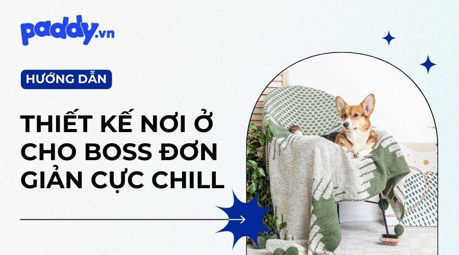 Thiết kế phòng cho thú cưng cực xinh