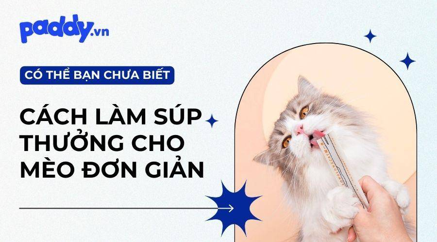 Cách Làm Súp Thưởng Cho Mèo Ngon Và Giàu Dinh Dưỡng