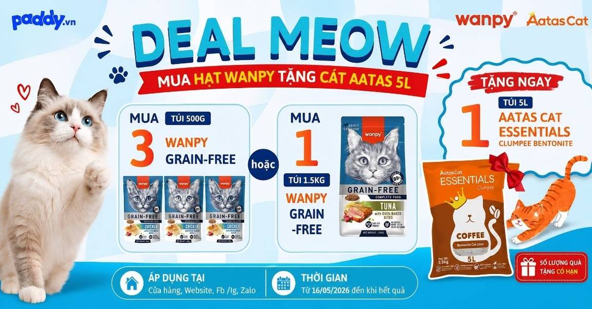 MUA HẠT WANPY MÈO – TẶNG NGAY CÁT AATAS 5L SIÊU HỜI