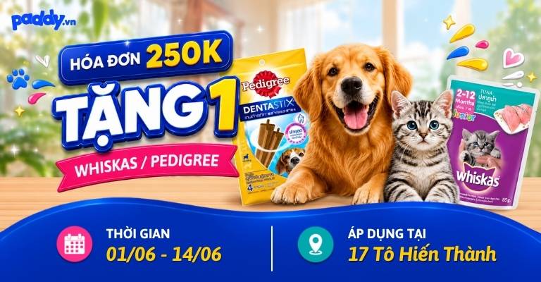 CHỐT WHISKAS / PEDIGREE NGAY – QUÀ TẶNG TỚI LIỀN TAY!