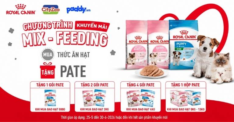 SEN ƠI, DEAL HOT TỪ ROYAL CANIN ĐÃ LÊN KỆ PADDY RỒI NÈ!