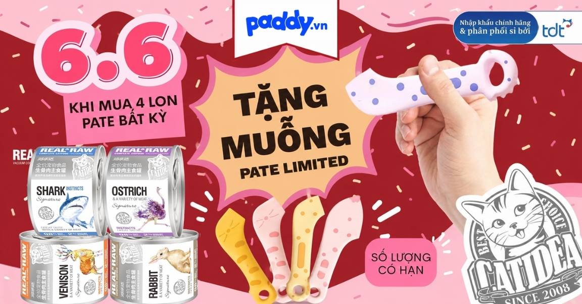 MUA 4 PATE CATIDEA REAL & RAW - TẶNG MUỖNG LIMITED SIÊU CUTE!