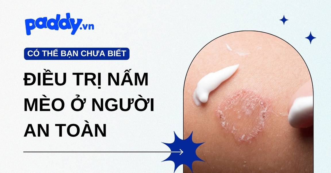 Điều Trị Nấm Mèo Ở Người An Toàn
