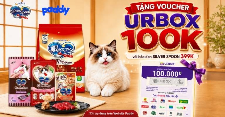 MUA SILVER SPOON CHO BOSS, RINH NGAY URBOX 100K