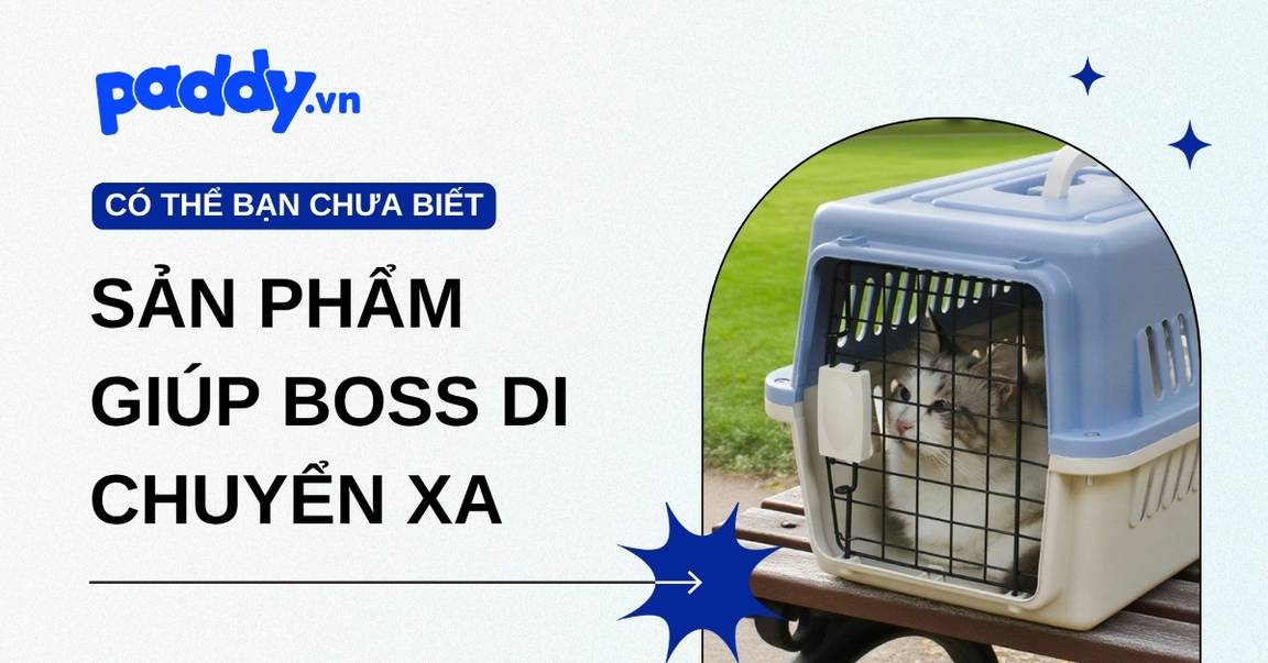 Các sản phẩm giúp Boss đỡ stress khi di chuyển xa