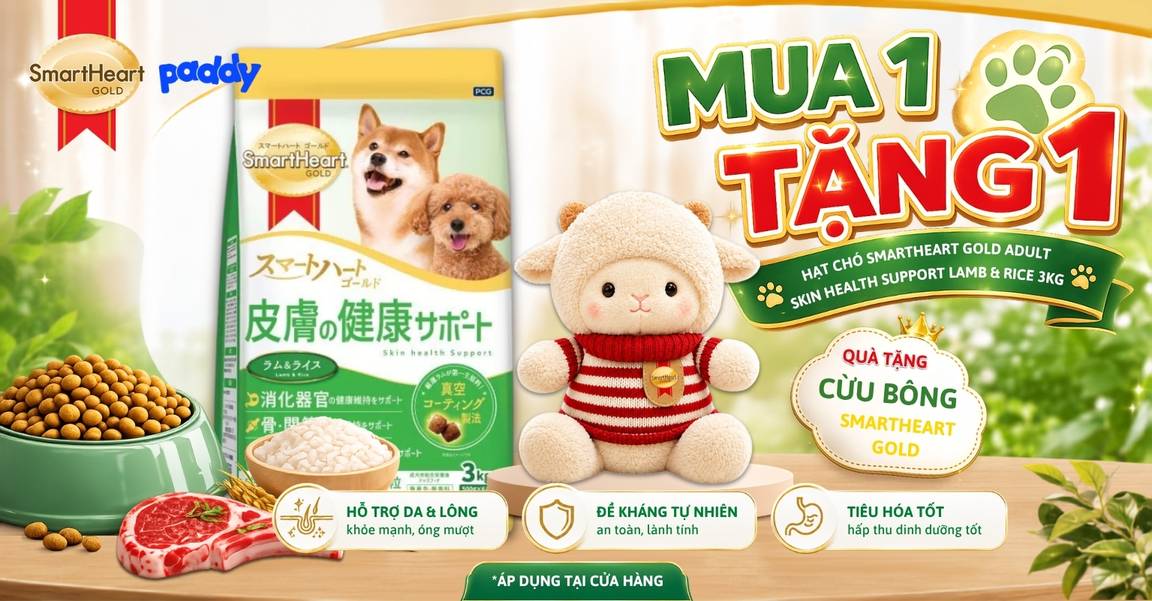 MUA 1 TẶNG 1 SMARTHEART GOLD – RINH HẠT XỊN, NHẬN CỪU XINH 