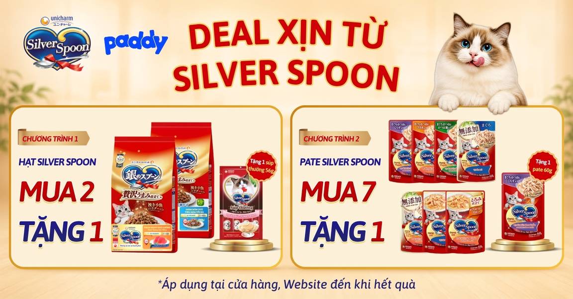 SILVER SPOON LÊN DEAL, QUÀNG THƯỢNG LÊN MOOD
