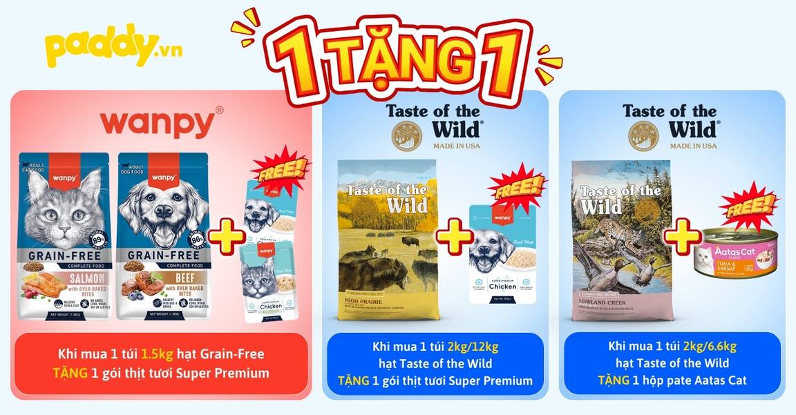 SEN CHỐT HẠT NGON – THÊM PATE CHO BOSS