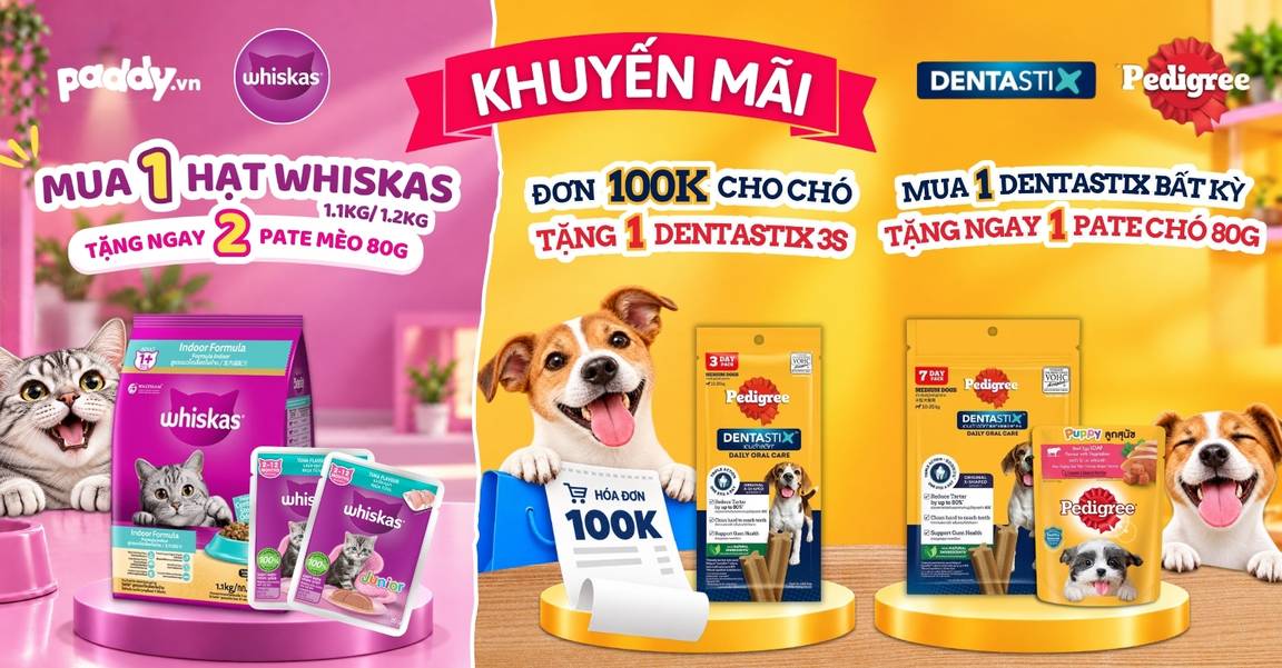 3 DEAL CỰC HỜI – SEN MUA SẮM, BOSS NHẬN QUÀ