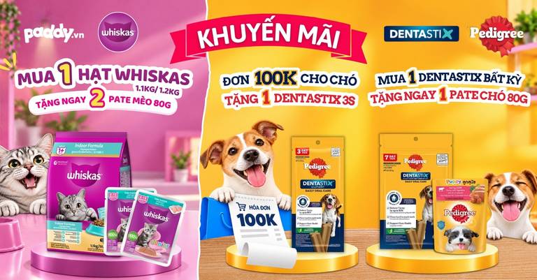 3 DEAL CỰC HỜI – SEN MUA SẮM, BOSS NHẬN QUÀ