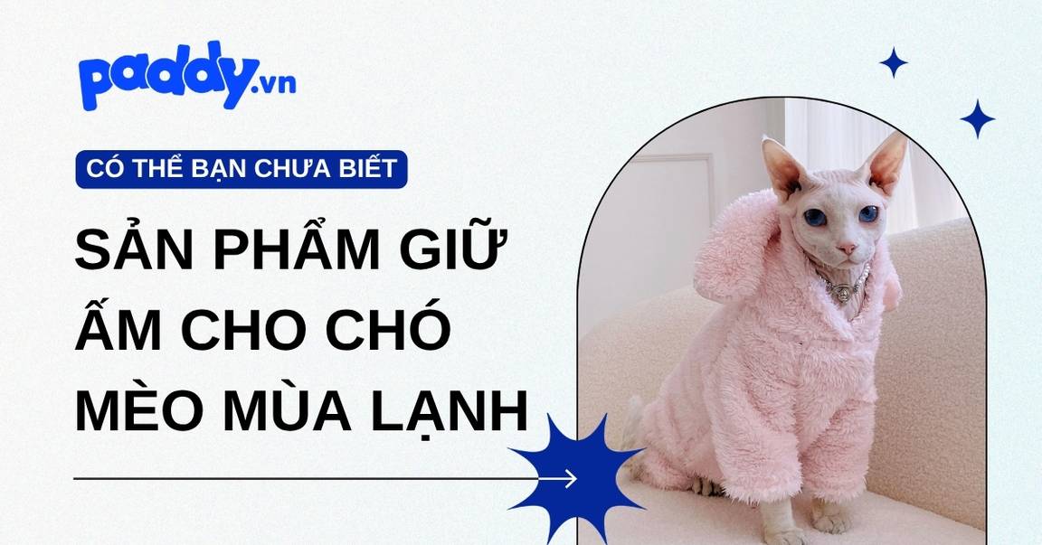 Các sản phẩm giữ ấm cho chó mèo mùa lạnh, bảo vệ boss suốt mùa đông