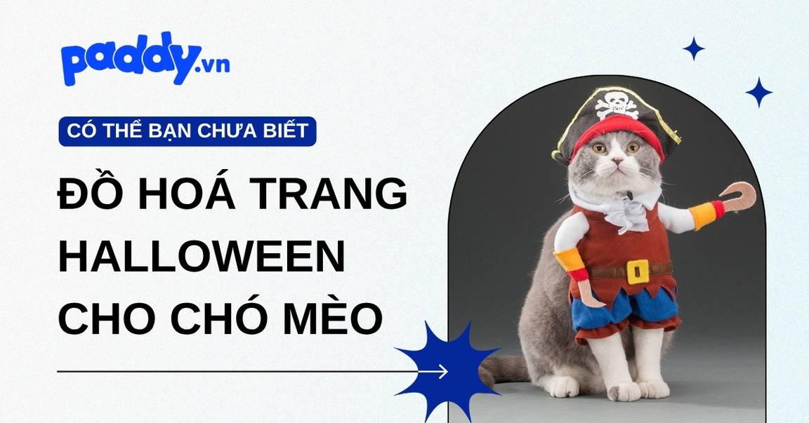 Gợi ý đồ hoá trang cho chó mèo tham gia Halloween
