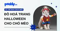 Gợi ý đồ hoá trang cho chó mèo tham gia Halloween