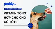 Vitamin tổng hợp cho chó có thực sự tốt?
