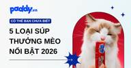 5 loại súp thưởng tốt cho mèo được ưa chuộng năm 2026