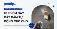 Ưu điểm của dây dắt bấm tự động cho chó