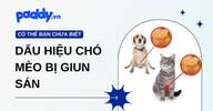Nguyên nhân và dấu hiệu chó mèo bị giun sán: Phát hiện sớm để xử lý kịp thời